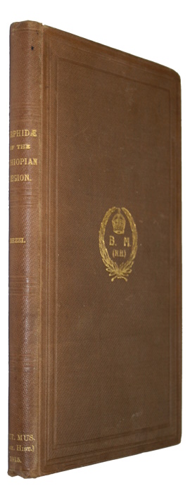 Bezzi, M. - The Syrphidae of the Ethiopian Region: based on material in the collection of the British Museum (Natural History), with descriptions of new genera and species