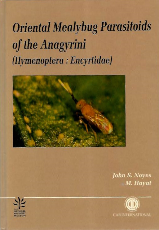 Noyes, J.S.; Hayat, M. - Oriental Mealybug Parasitoids of the Anagyrini (Hymenoptera: Encyrtidae)