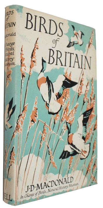 MacDonald, J.D. - Birds of Britain: A Guide to the Common Species