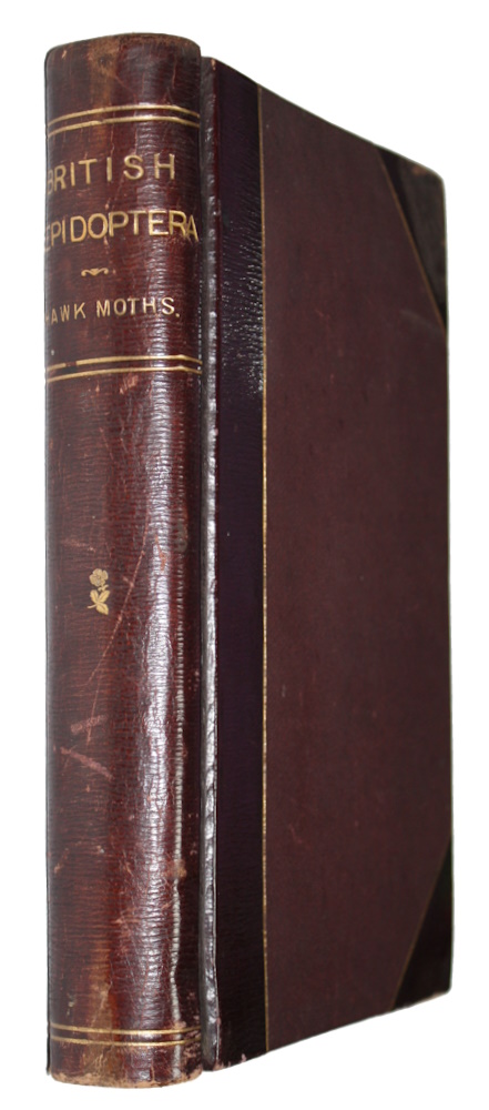 Johnson, Theophilus - Illustrations of British Hawk Moths and their Larvae (Including the Sesidae)