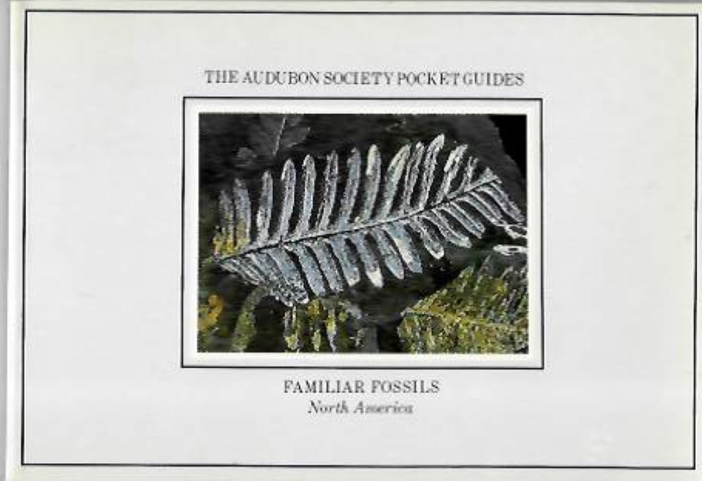 Horenstein, S. - Familiar Fossils North America (The Audubon Society Pocket Guides)