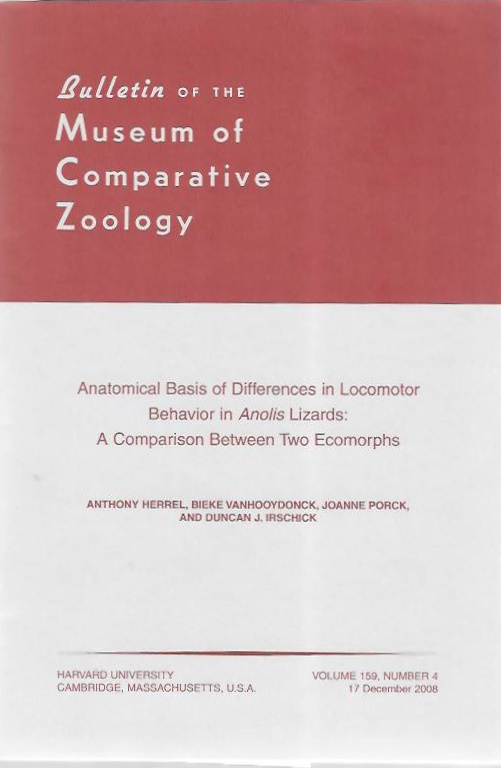 Herrel, A.; Vanhooydonck, B.; Porck, J.; Irschick, D.J. - Anatomical Basis of Differences in Locomotor Behavior in <i>Anolis</i> Lizards: A Comparison Between Two Ecomorphs