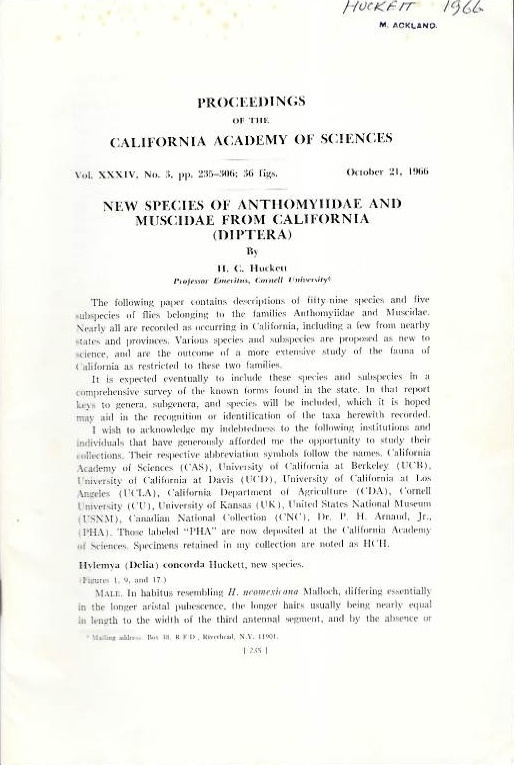 Huckett, H.C. - New Species of Anthomyiidae and Muscidae from California (Diptera)