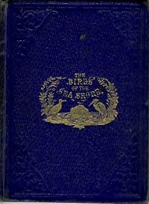  - Birds of the Sea Shore Illustrated