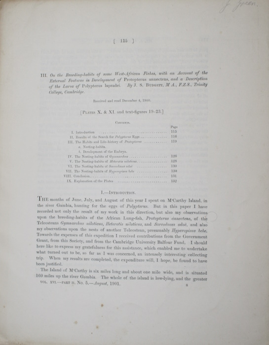 Budgett, J.S. - On the Breeding-habits of some West-African Fishes, with an account of the External Features in Development of <i>Protopterus annectens</i>, and a Description of the Larva of <i>Polypterus lapradei</i>