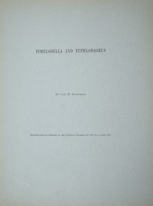 Eigenmann, C.H. - Pimelodella and Typhlobagrus