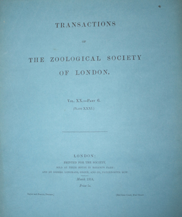 Regan, C. Tate - Report on the Freshwater Fishes collected by the British Ornithologists' Union Expedition and the Wollaston Expedition in Dutch New Guinea