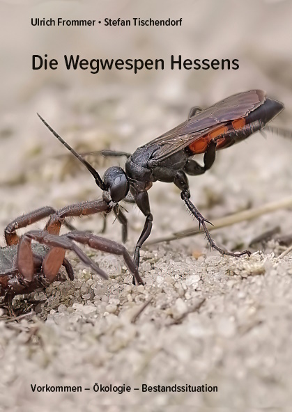 Frommer, U.; Tischendorf, S. - Die Wegwespen Hessens: Vorkommen - kologie - Bestandssituation