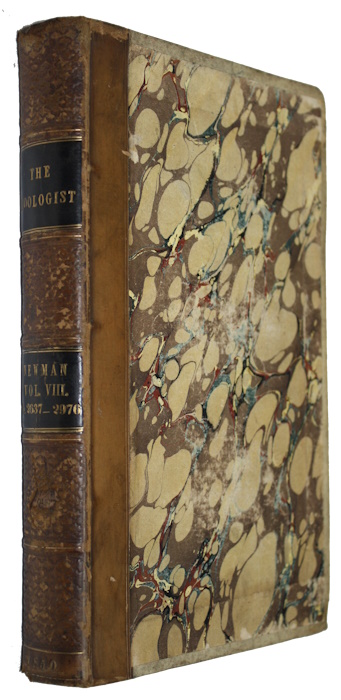 Newman, Edward (Ed.) - The Zoologist. A Popular Miscellany of Natural History. Vol. VIII