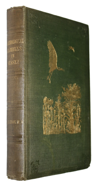 Knox, A.E. - Ornithological Rambles in Sussex; with a Systematic Catalogue of the Birds of that County, and Remarks on their Local Distribution