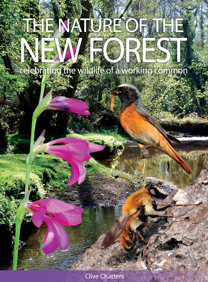 Chatters, C. - The Nature of the New Forest: celebrating the wildlife of a working common