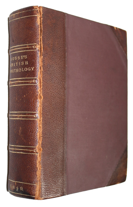 Gosse, P.H. - Popular British Ornithology; containing a familiar and technical Description of the Birds of the British Isles