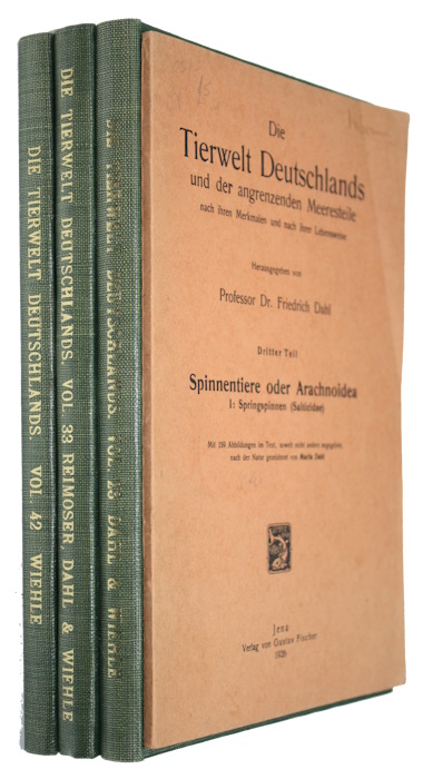 Dahl, F.; Dahl, M.; Wiehle, H.; Reimoser, E. - Spinnentiere I: Salticidae / VI: Agelenidae, Araneidae / VIII: Gnaphosidae, Anyphaenidae, Clubionidae, Hahniidae, Argyronetidae, Theridiidae / IX: Orthognatha - Cribellatae - Haplogynae - Entelegynae (Pholcidae, Zodariidae, Oxyopodidae, Mimentidae, Nestic