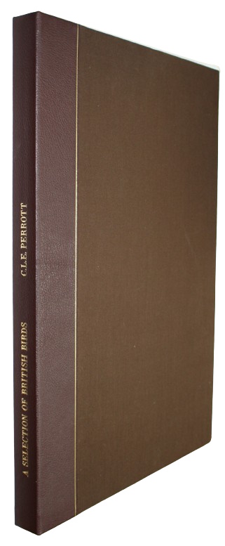 Perrott, Charlotte Louisa Emily - A Selection of British Birds