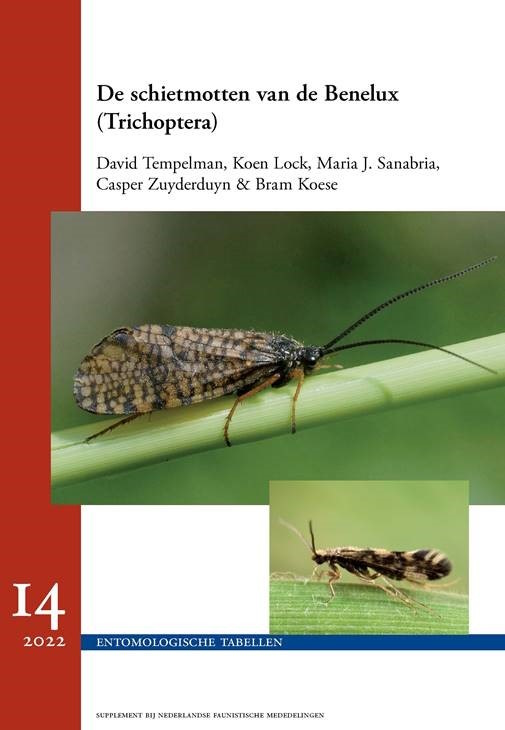 Tempelman, D.; Lock, K.; Sanabria, M.J.; Zuyderduyn, C.; Koses, B. - De schietmotten van de Benelux (Trichoptera)