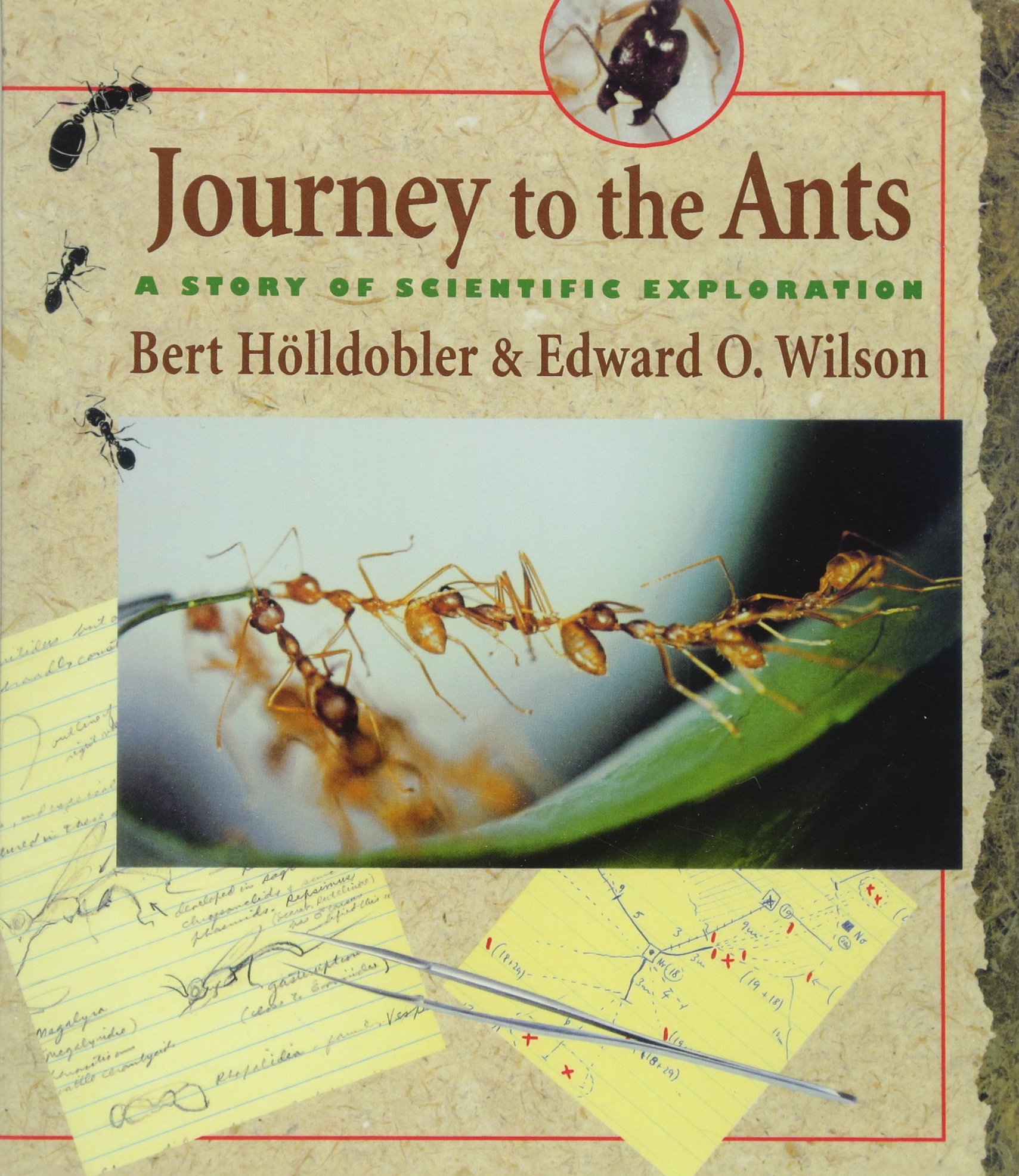 Hlldobler, B.; Wilson, E.O. - Journey to the Ants: a Story of Scientific Exploration