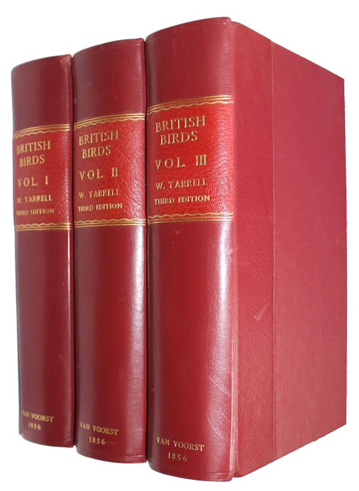 Yarrell, William - A History of British Birds. Vol. I-III