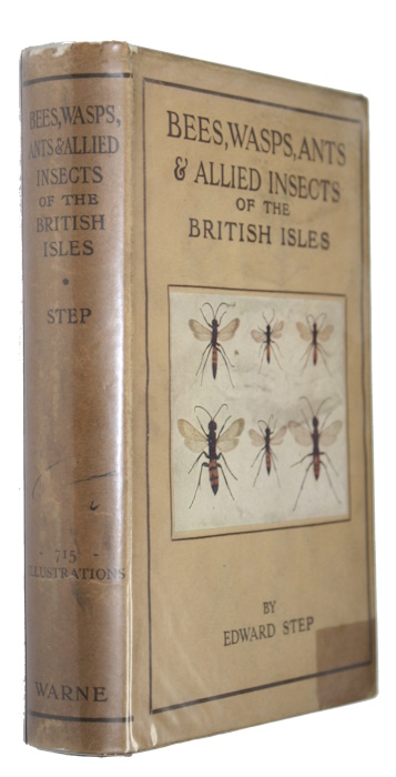 Step, E. - Bees, Wasps, Ants and Allied Insects of the British Isles
