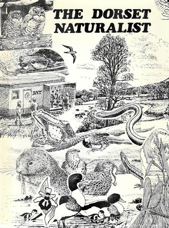 Dorset Naturalist's Trust - The Dorset Naturalist