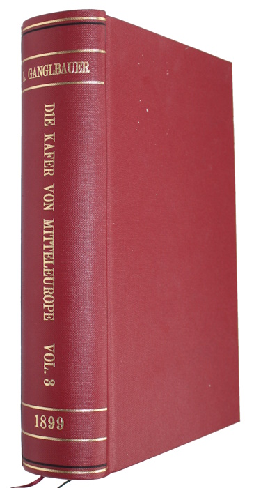 Ganglbauer, L. - Die Kfer von Mitteleuropa. Bd 3: Staphylinoidea Theil II + Clavicornia