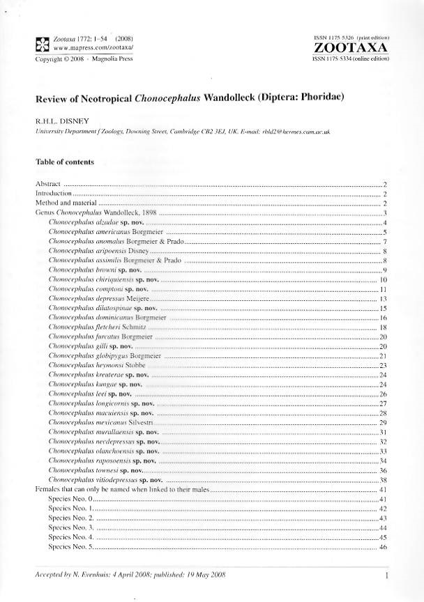 Disney, R.H.L. - Review of Neotropical <i>Chonocepahalus</i> Wandolleck (Diptera: Phoridae)