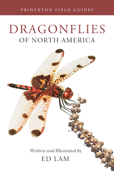 Lam, E. - Dragonflies of North America