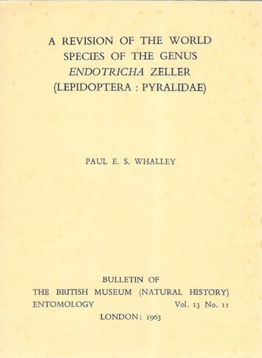 Whalley, P.E.S. - A revision of the world species of the genus <i>Endotricha</i> Zeller (Lepidoptera: Pyralidae)