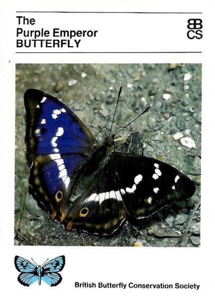 Willmott, K. - The Purple Emperor Butterfly