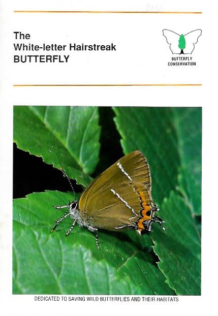 Davies, M. - The White-letter Hairstreak Butterfly