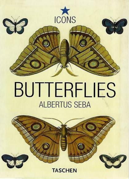 Seba, Albertus; Msch, I. - Butterflies & Insects