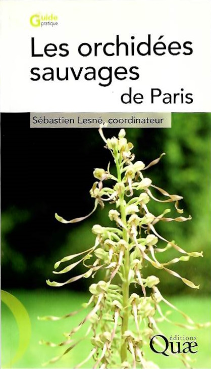 Lesn, S. (Ed.) - Les orchides sauvages de Paris