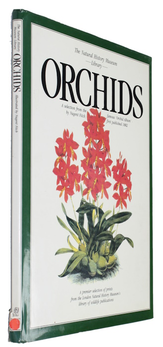 Fitch, John Nugent - Orchids: A Selection from the Famous Orchid Album illustrated by Nugent Fitch, first published in 1882
