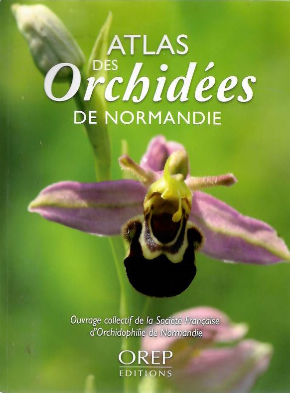 Socit Franaise d'orchidophilie de Normandie - Atlas des Orchides de Normandie