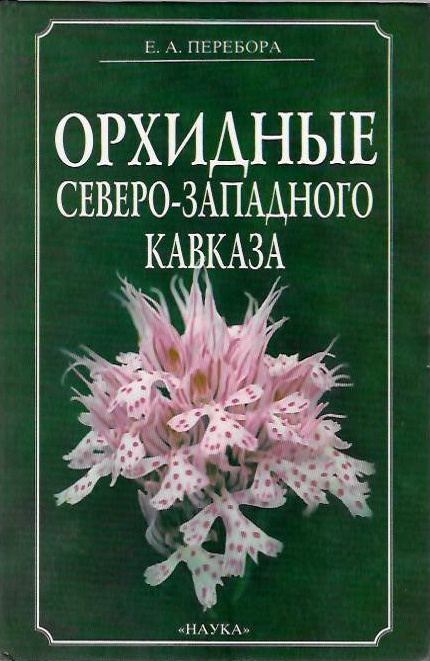 Perebora, E.A. - ???????? ??????-????????? ??????? [Orchids of the northwest Caucasus]