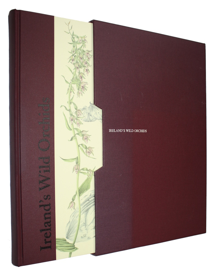 Sex, Susan; Sayers, Brendan - Ireland's Wild Orchids