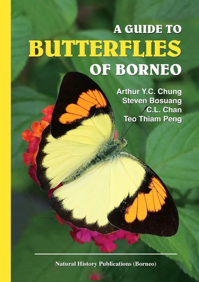 Chung, A.Y.C.; Bosuang, S.; Chan, C.L.; Peng, T.T. - A Guide to Butterflies of Borneo