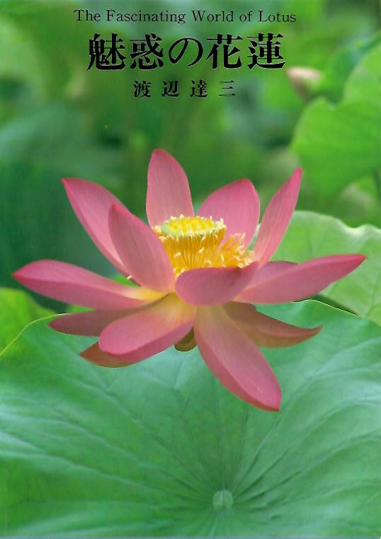 Watanabe, Satomi. - The Fascinating World of Lotus | ?????