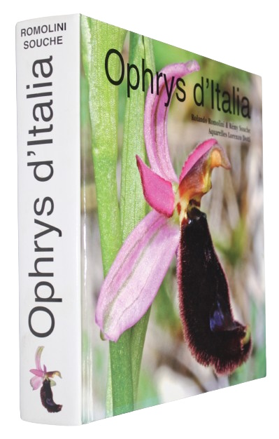 Romolini, R.; Souche, R. - Ophrys d'Italia
