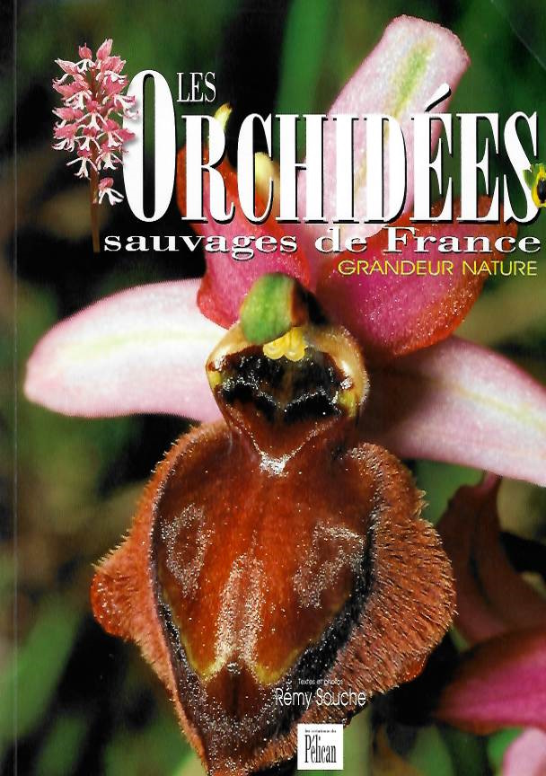 Souche, R. - Les Orchides sauvages de France Grandeur Nature
