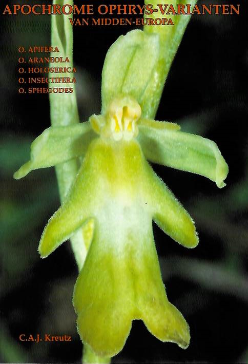 Kreutz, C.A.J. - Apochrome <i>Ophrys</i>-Varianten van Midden-Europa: <i>O. apifera, O. araneola, O. holoserica, O. insectifera, O. sphegodes</i>
