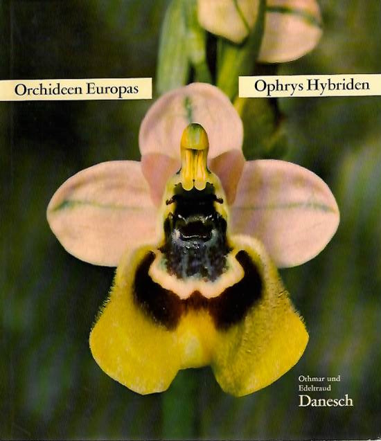 Danesch, E.; Danesch, O. - Orchideen Europas: Ophrys Hybriden