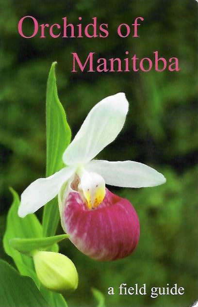 Ames, D.; Acheson, P.B.; Heshka, L.; Joyce, B.; Neufeld, J.; Reeves, R.; Reimer, E.; Ward, I. - Orchids of Manitoba: A Field Guide