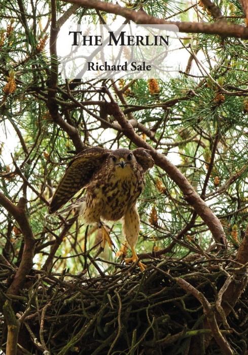 Sale, R. - The Merlin