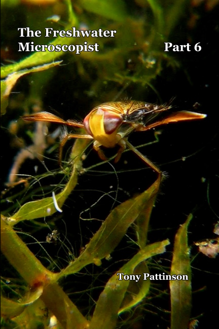 Pattinson, T. - The Freshwater Microscopist. Pt 6