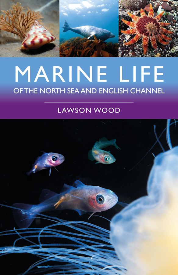 Wood, L. - Marine Life of the North Sea and English Channel
