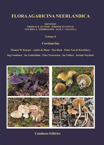Kuyper, T.W.; de Haan, A.; Dam, N.; van de Kerckhove, O.; Somhorst, I.; Gelderblom, J.; Verstraeten, P.; Volders, J.; Nuytinck, J. - Flora Agaricina Neerlandica Vol. 8: Cortinarius