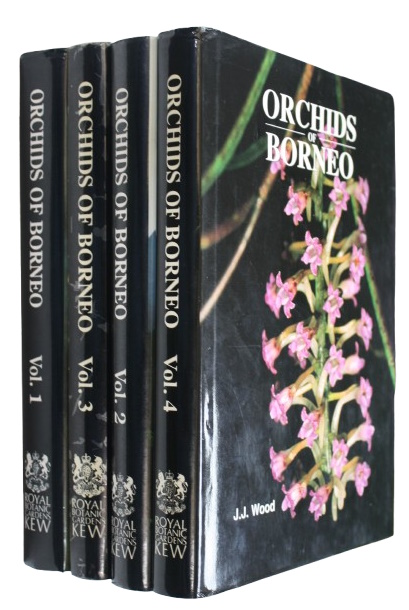 Chan, C.L.; Lamb, A.; Shim, P.S.; Wood, J.J.; Vermeulen, J.J. - Orchids of Borneo. Vol. 1-4