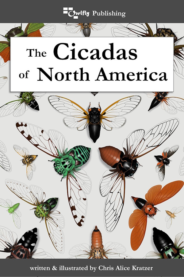 Kratzer, C.A. - The Cicadas of North America