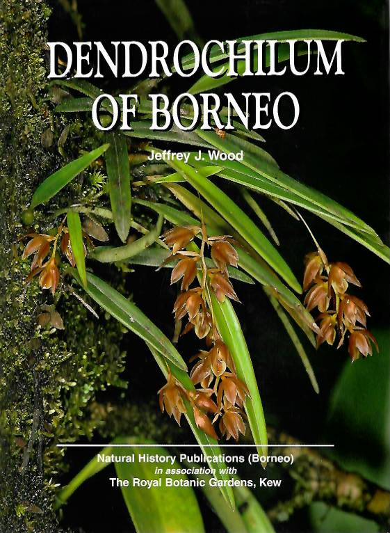 Wood, J.J. - Dendrochilum of Borneo