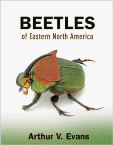 Evans, A.V. - Beetles of Eastern North America